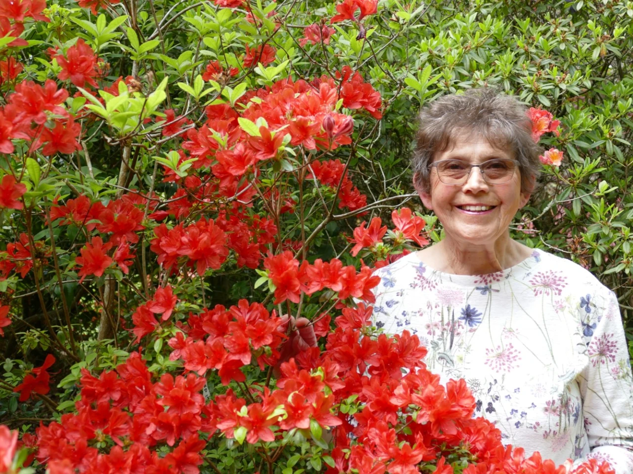 Rosemary Legrand image